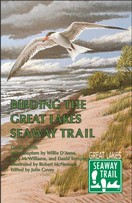 stbbirdbookcover72.jpg