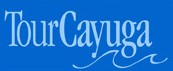 cayuga-county.jpg