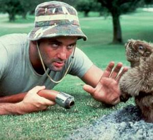 caddyshack_300x298.jpg