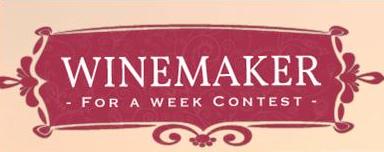 winemaker-for-a-week.JPG