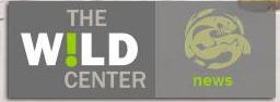 wild-center.JPG