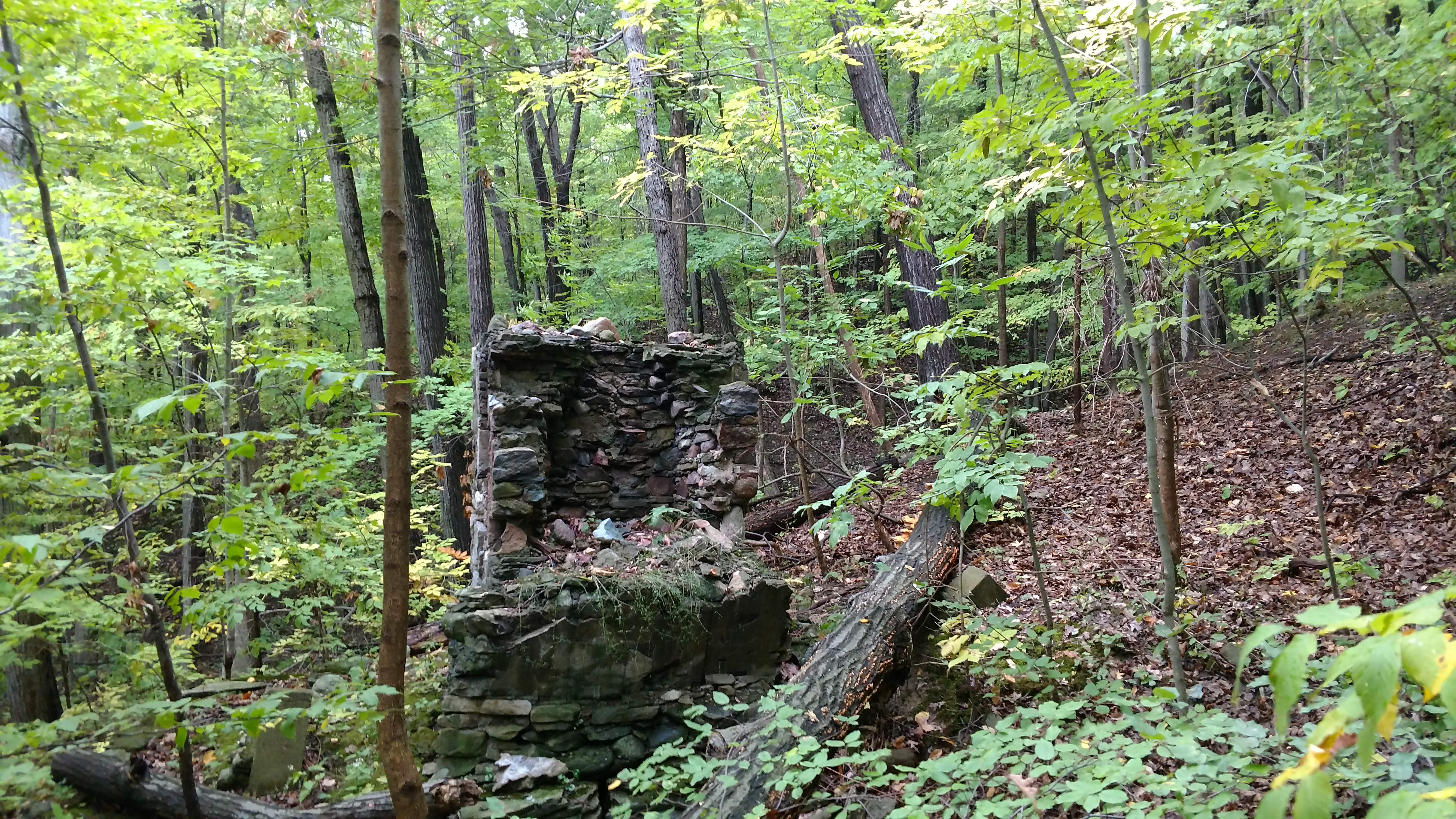 An old stone hearth lies crumbling in the Hemlock Forest, remnants of a long abandoned home.