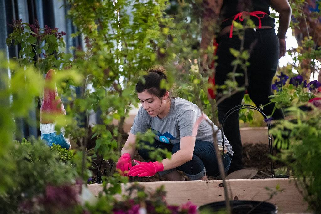 woman tends to a garden display at the Rochester Lilac Festival