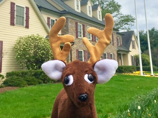 "Bucky" at the Bucks County Visitor Center