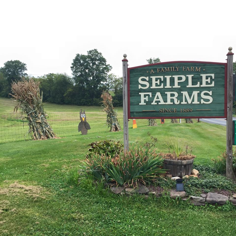 Seiple Farms Pennsylvania Painting Art & Collectibles