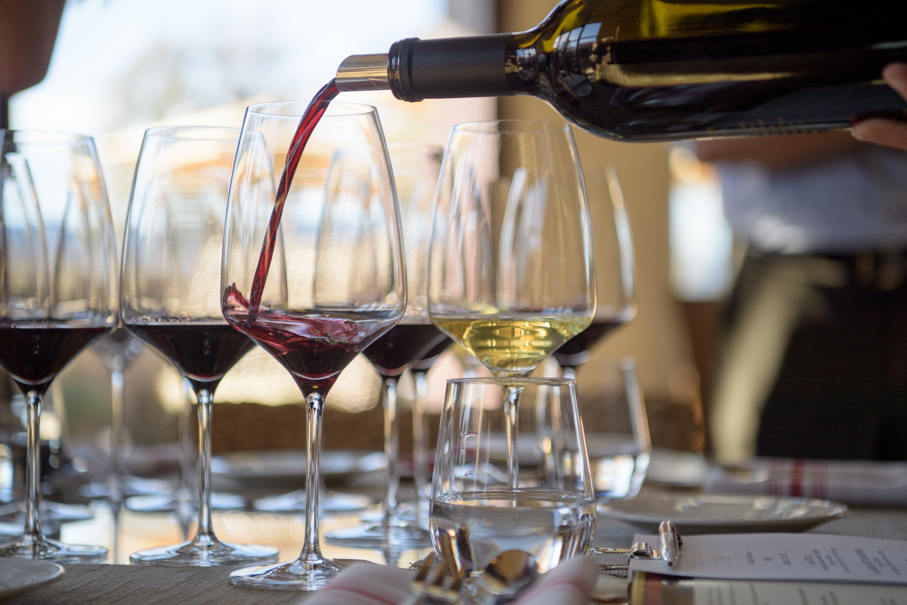 Wine Tasting Tips in Napa Valley | Terminology & What To Expect