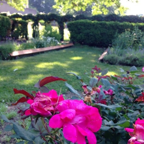 Sensory Garden at Rochester Museum & Science Center