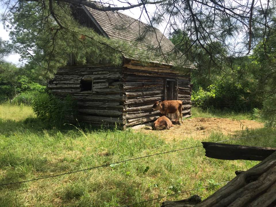 Genesee Country Village log cabin