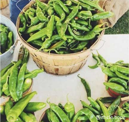 Fresh green chile in Albuquerque