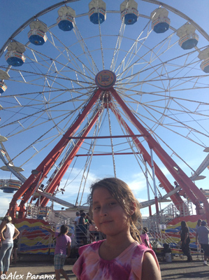 Ferris Wheel at the New Mexico State Fair in Albuquerque