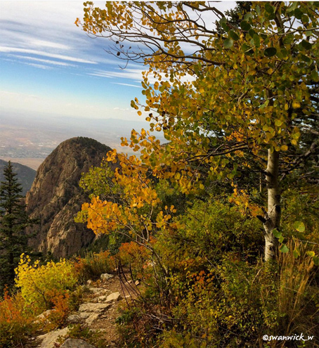 #PictureABQ photo contest, taken by Instagram user @swanwick_w