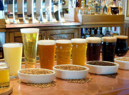 Beer Options in Albuquerque Beer Options in Albuquerque