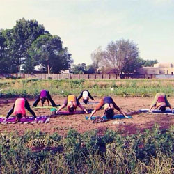Yoga on the Farm Yoga on the Farm