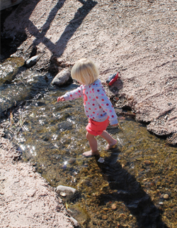 Stream at Tingley Beach in Albuquerque, New Mexico Stream at Tingley Beach in Albuquerque, New Mexico