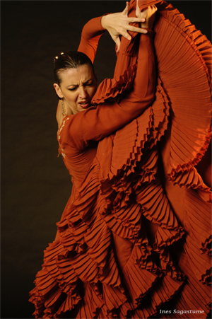 Flamenco Dancer - Ines Sagastume