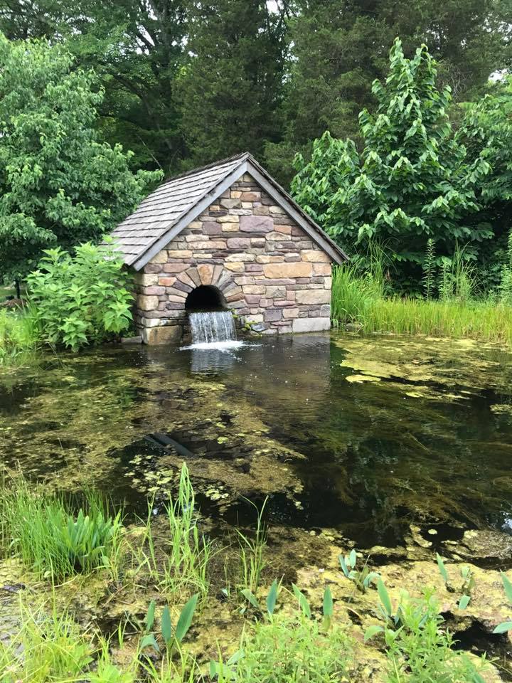 Pond at Bowman's Hill Wildflower Preserve