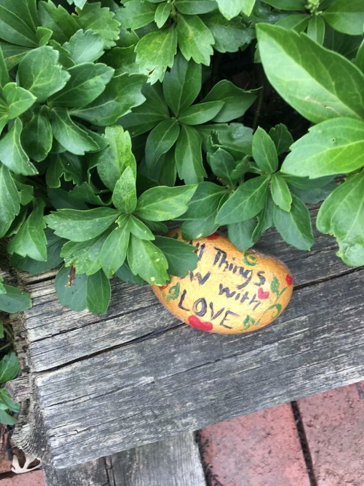 Painted rock hidden in plant