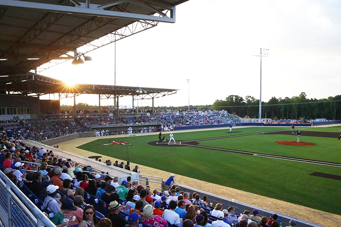 Holly Springs Salamanders