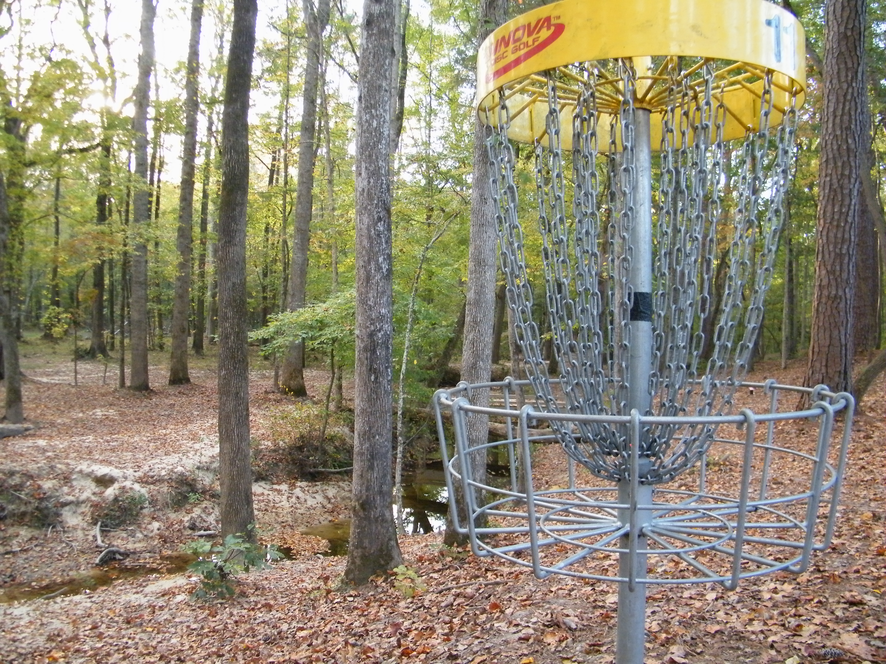 Disc Golf_Apex2