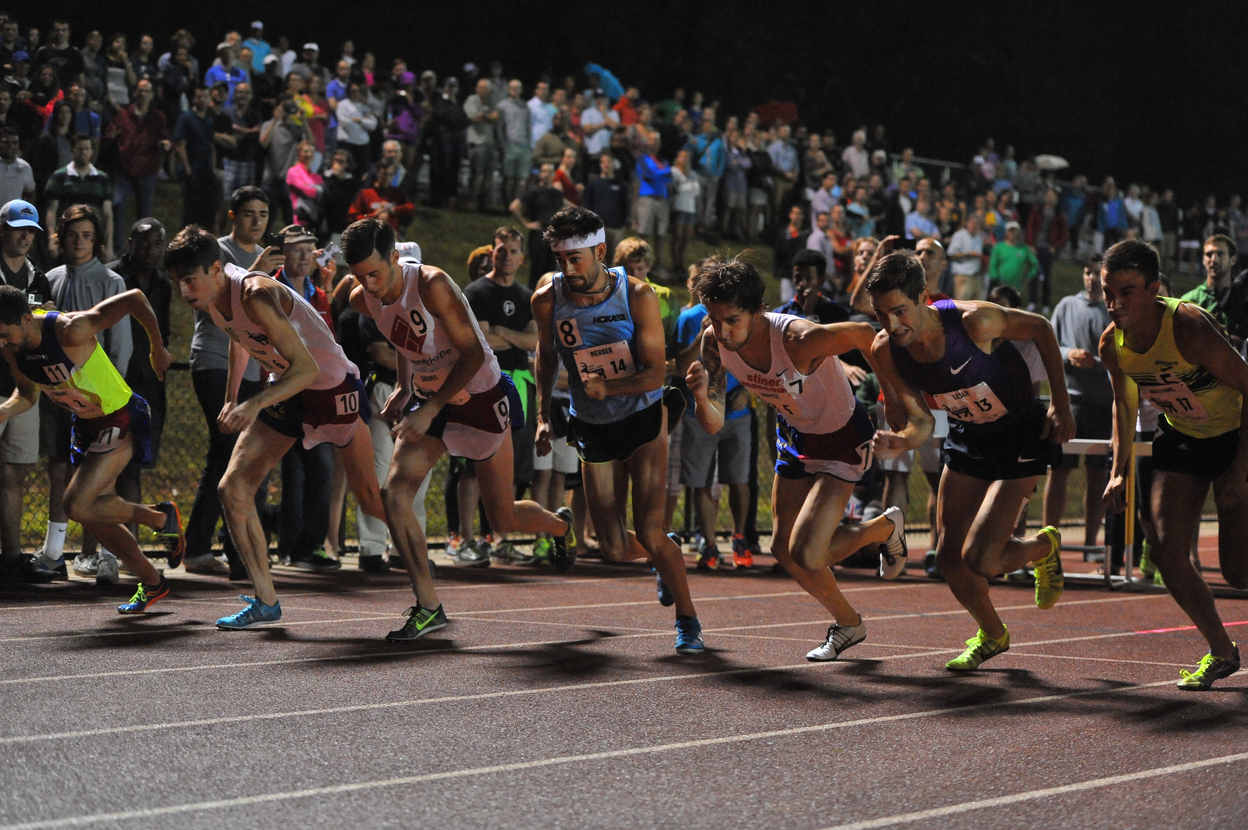 Sir Walter Miler - Neil Amato story