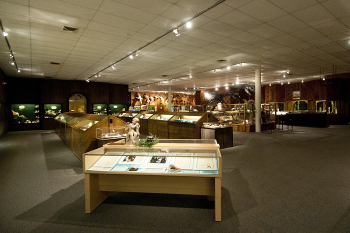 Center for Arts and Science - Brazosport