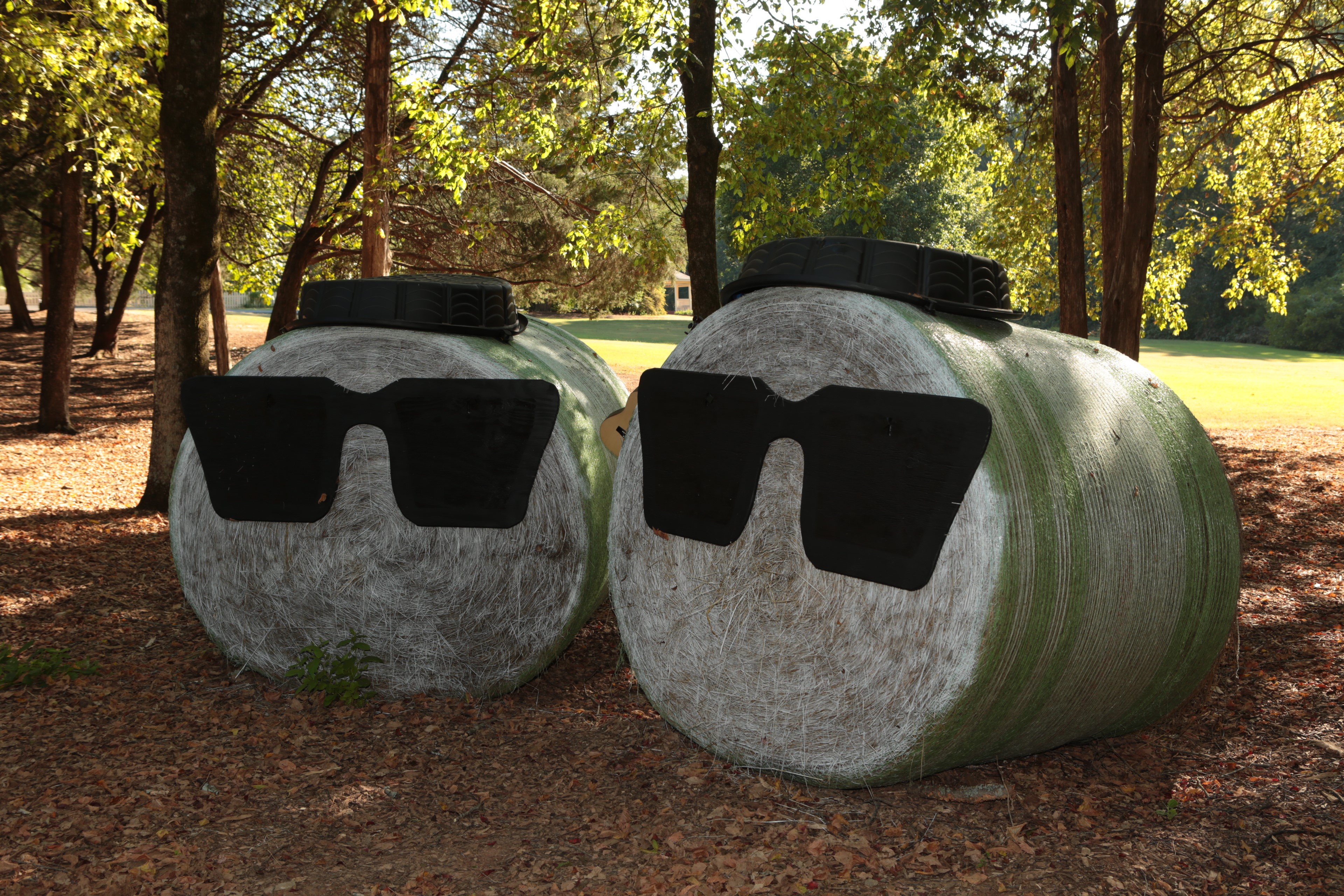 HBG Scarecrow Trail Hay