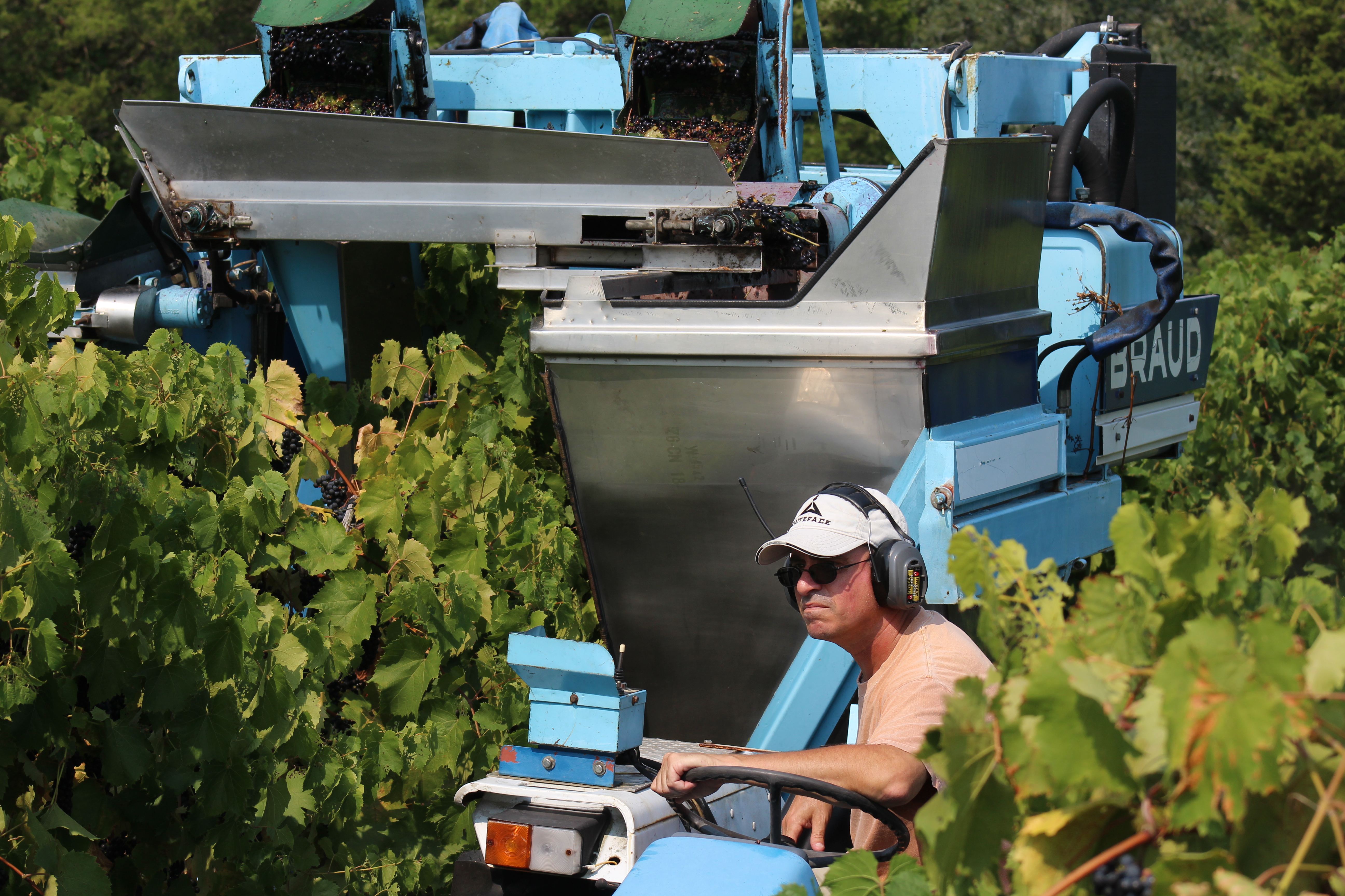 Harvest on the Bucks County Wine Trail