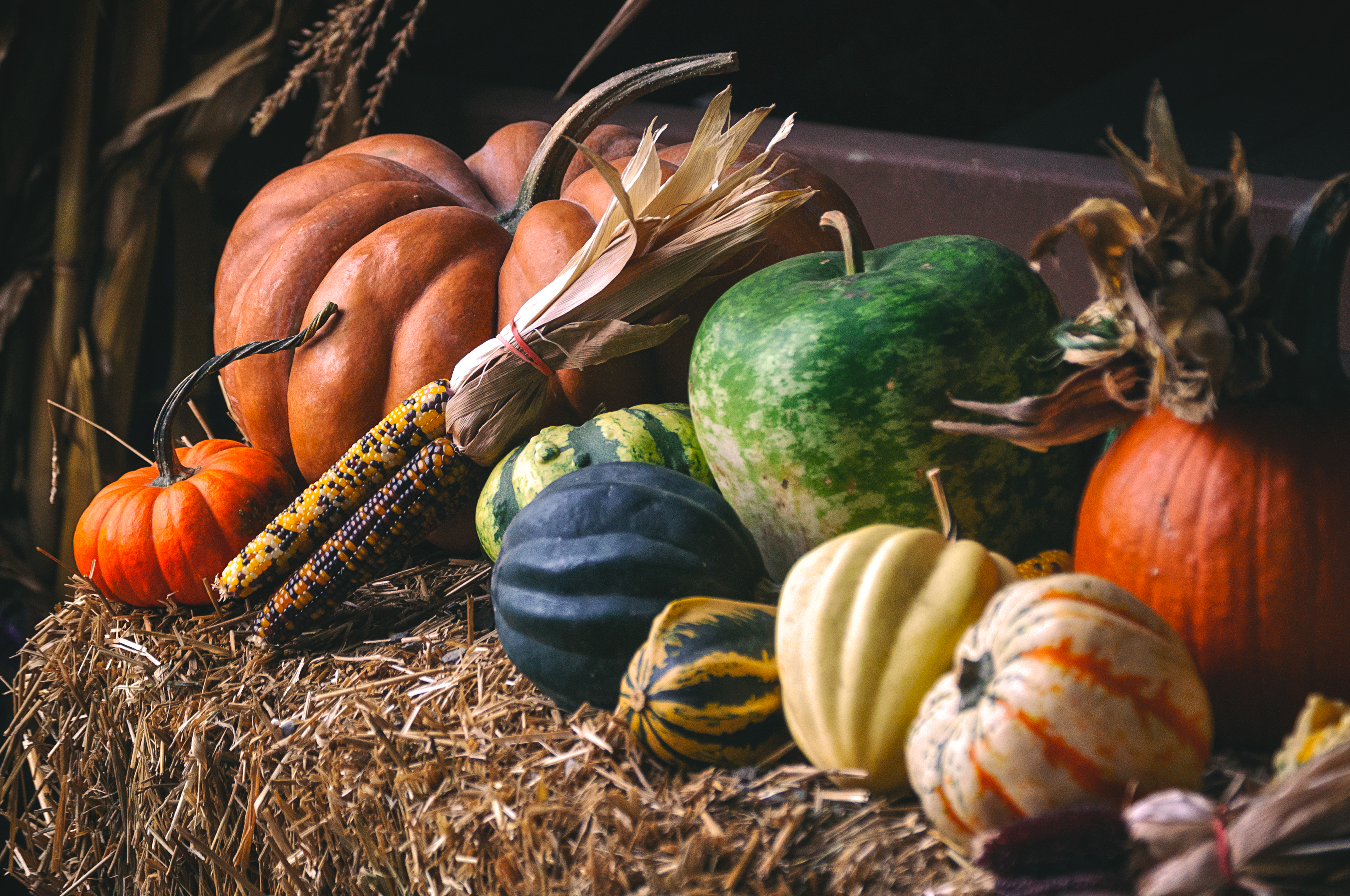 Vegetables at Styer Orchard