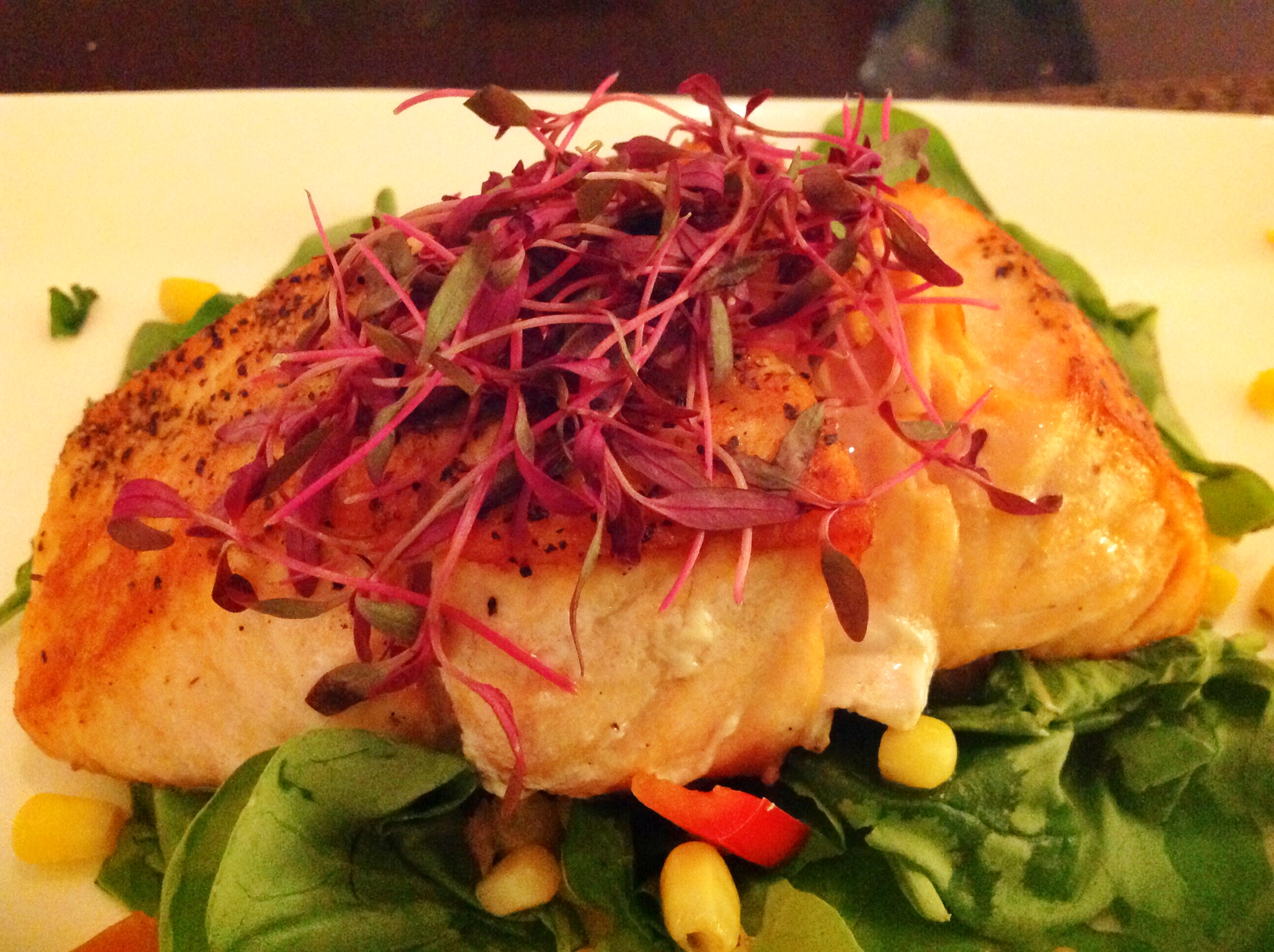 Salmon
