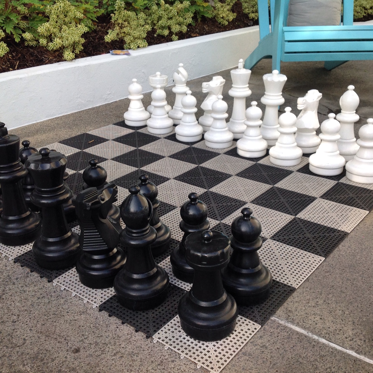 Chess
