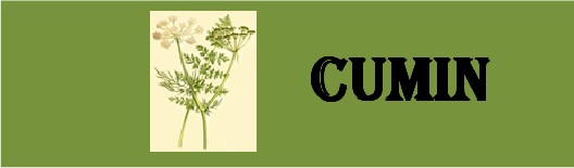 Cumin