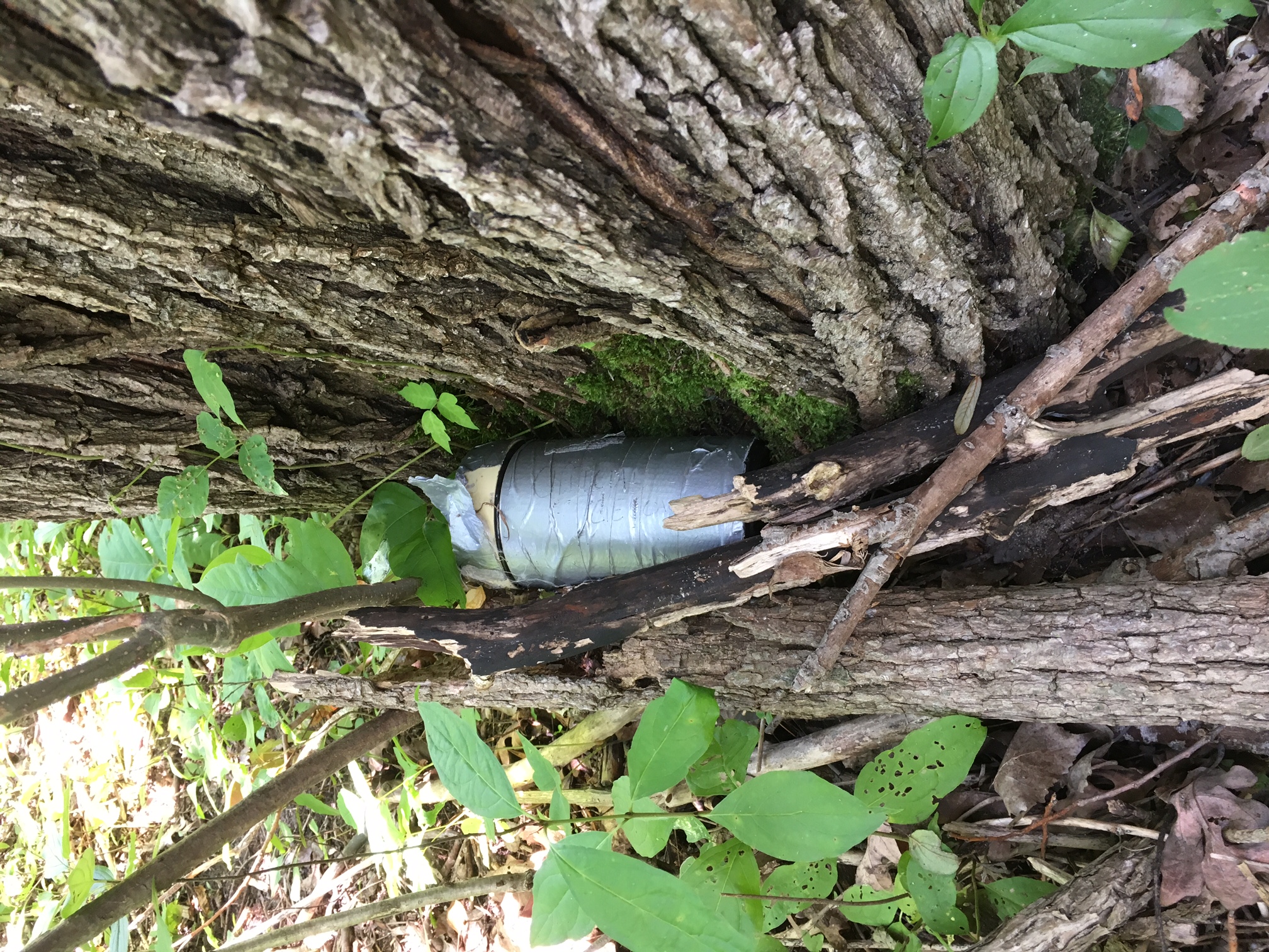 geo-caching-finger-lakes-hiding-cache