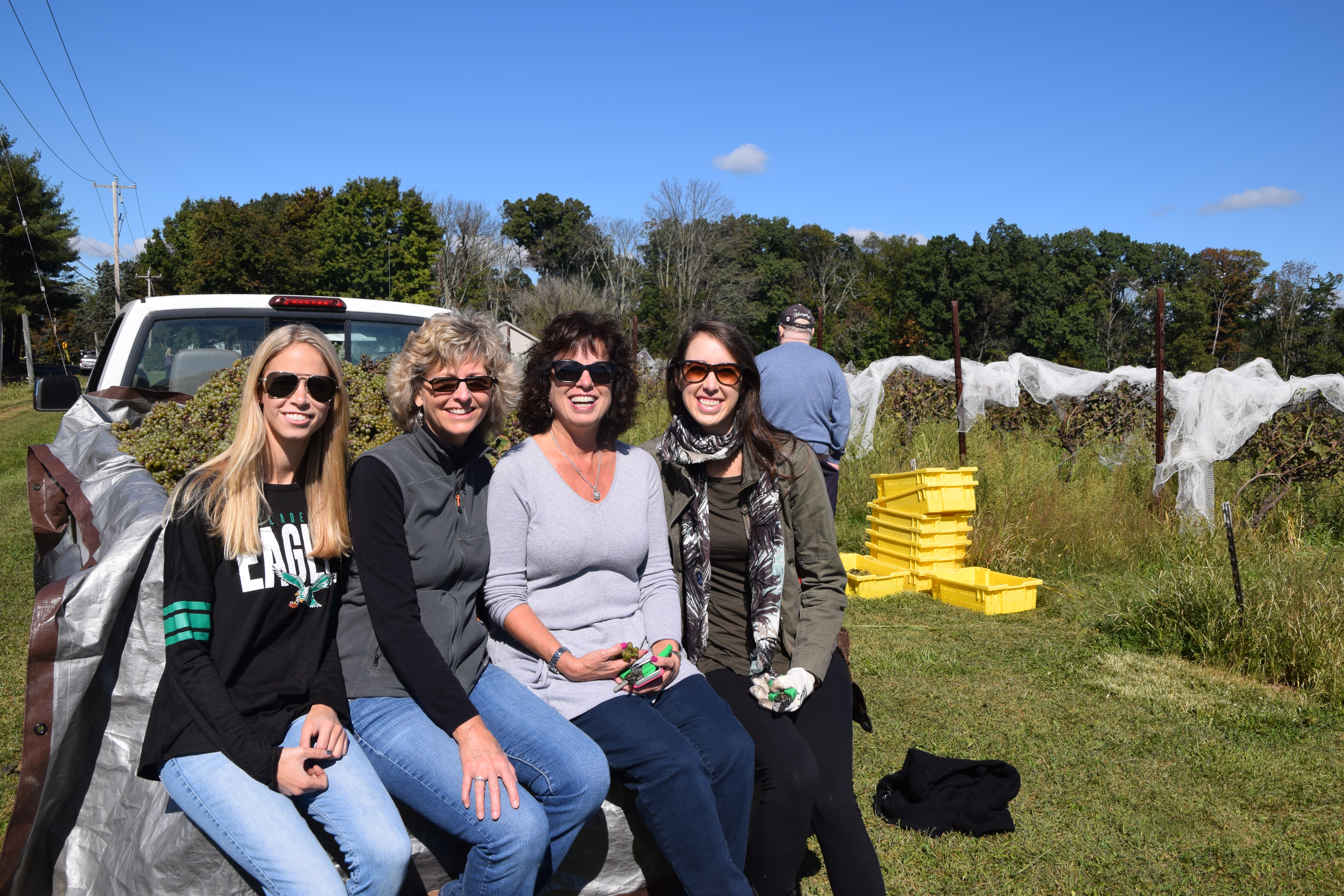 Fall at Wycombe Vineyards