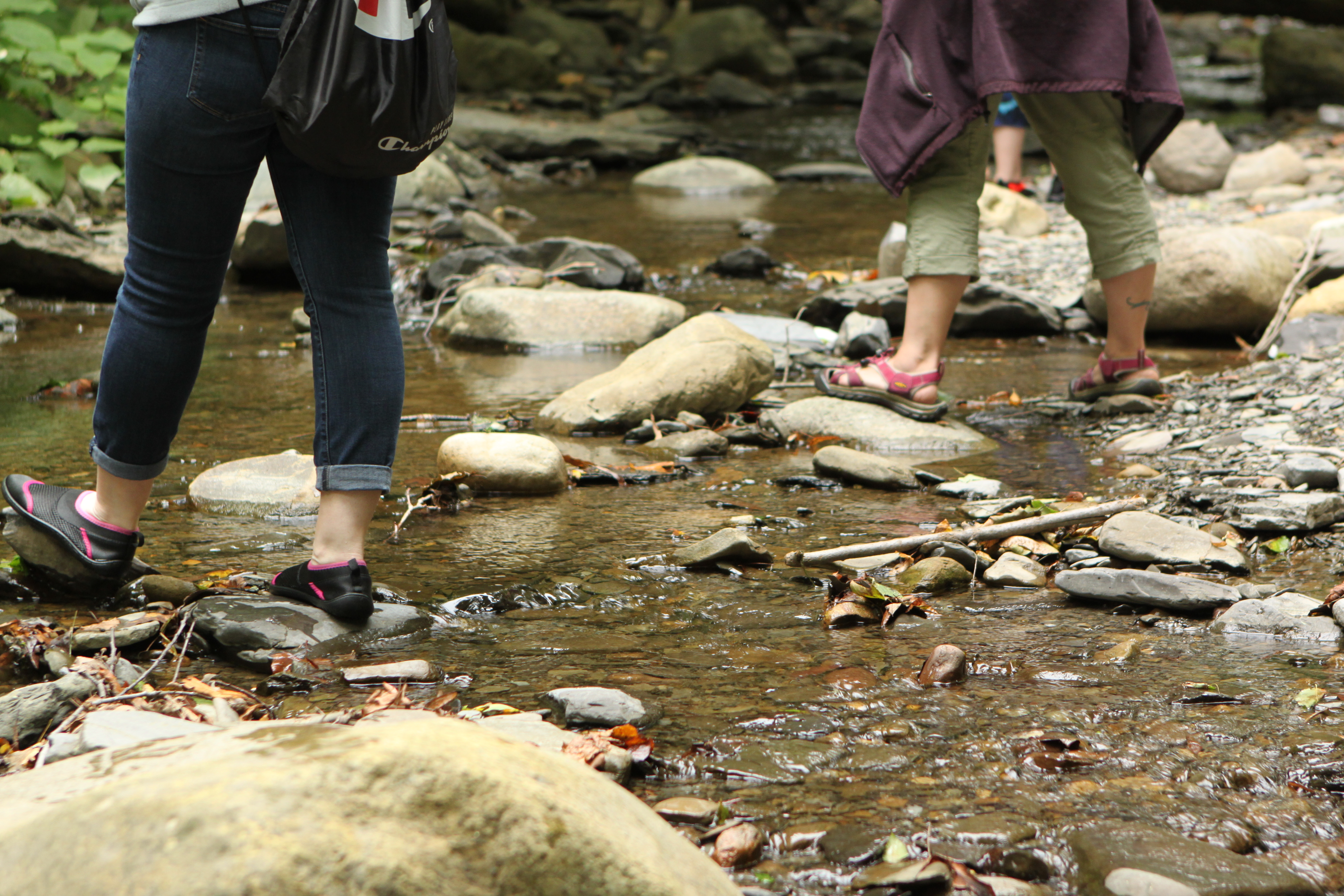 finger-lakes-forest-therapy-naples-hiking-water