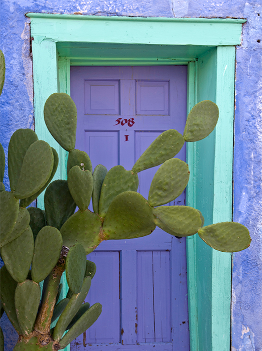 El Charro Door