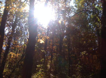 Stoney Run, Indiana, Trails Stoney Run, Indiana, Trails