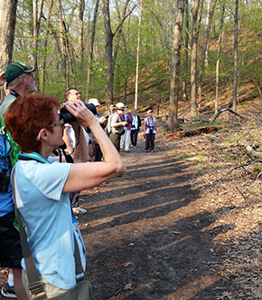 Indiana Dunes Birding Festival