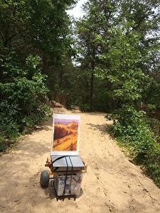 Carting through the dunes