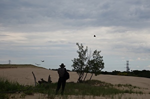 Visiting the dunes