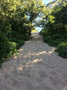 Climbing the dunes