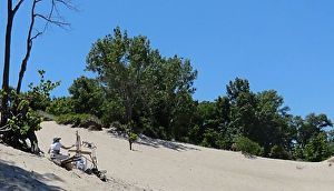 Simonne at work on the dunes