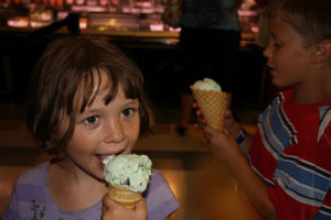 Fair Oaks Farms Ice Cream