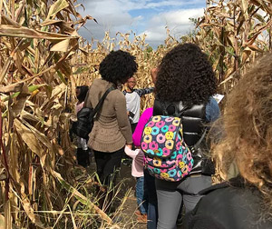 The corn maze at County Line Orchard