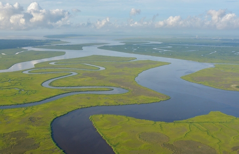 Marsh aerial