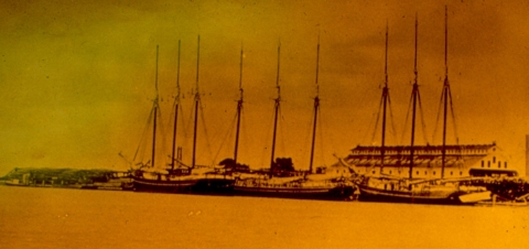 Lumber mill