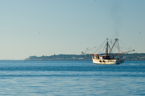 Shrimp boat