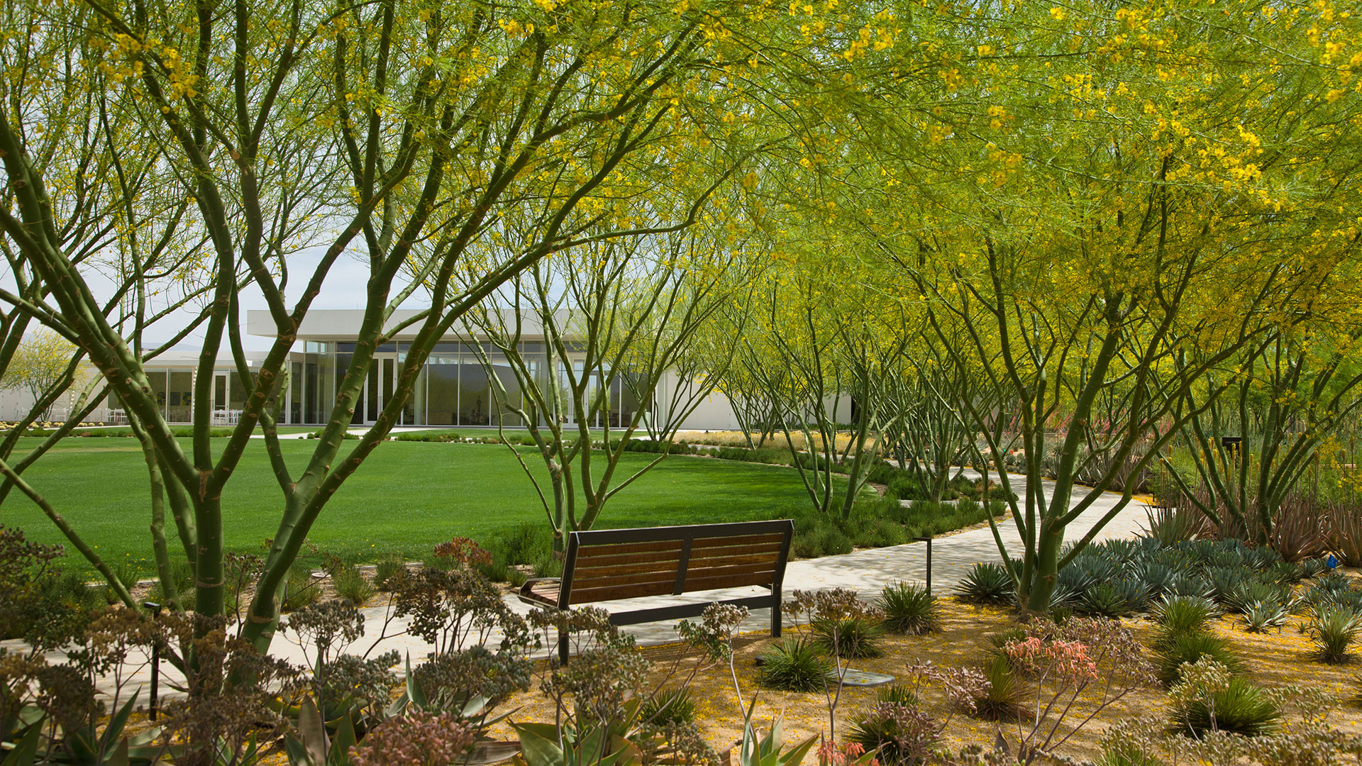 Great Places to Picnic and Explore in Greater Palm Springs