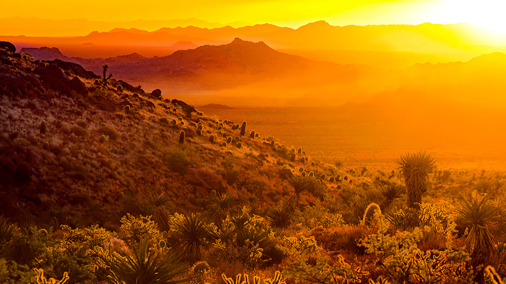 mitchell caverns providence mountains