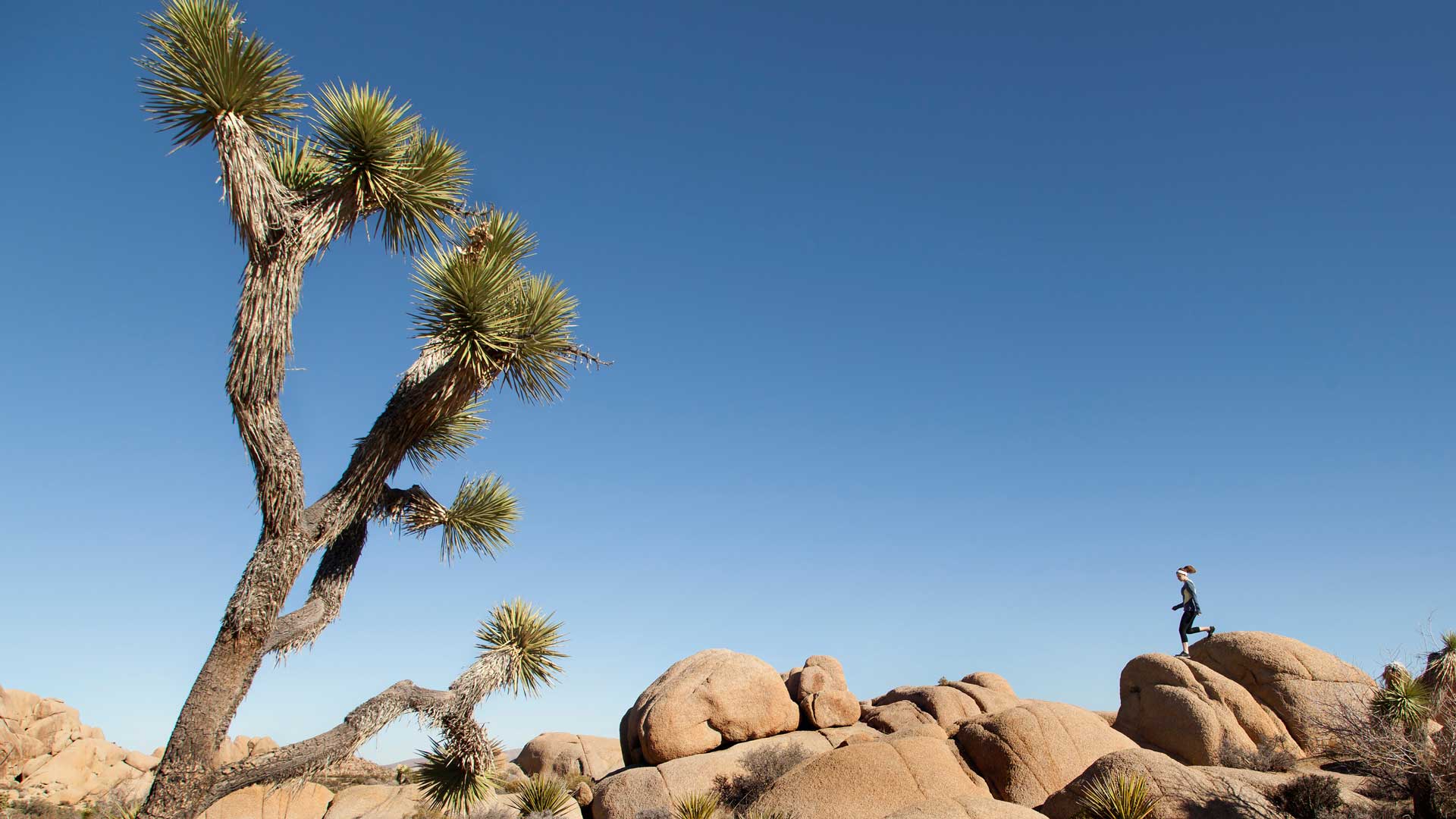 palm springs aerial tramway