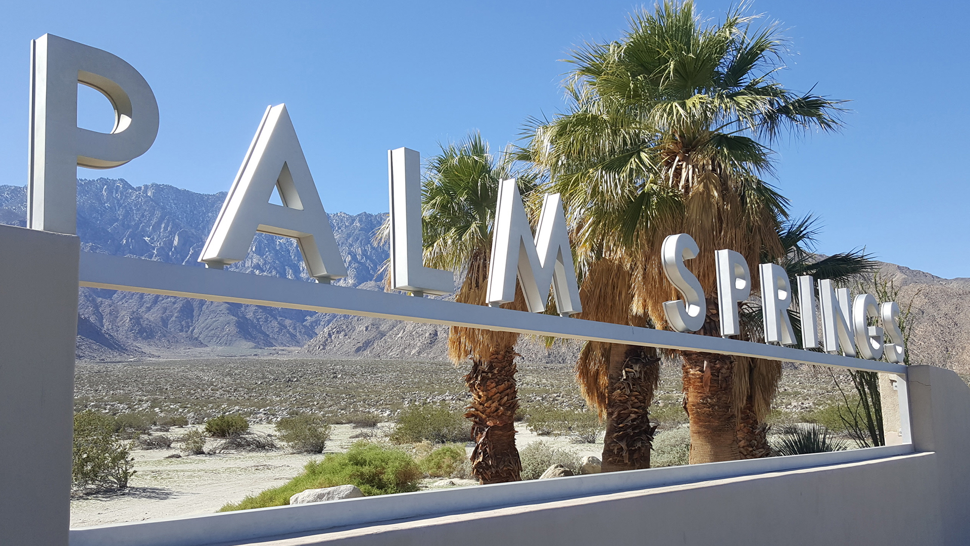 Best Tours In Palm Springs Best Tours In Palm Springs